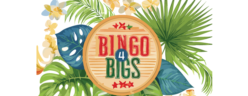 Bigs for Bingo